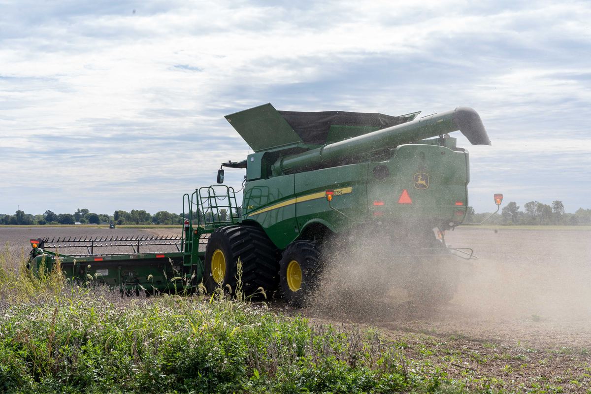 A combine harvester cutting a soybean field in Brownsburg, Indiana.